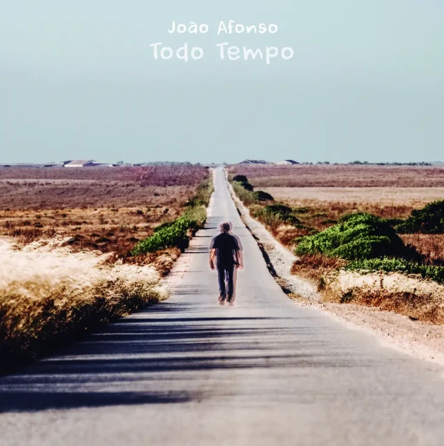 Todo Tempo album artwork